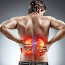 foods that damage kidneys,