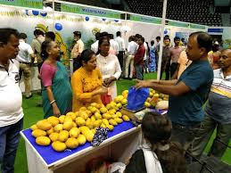 Murshidabad mango festival,