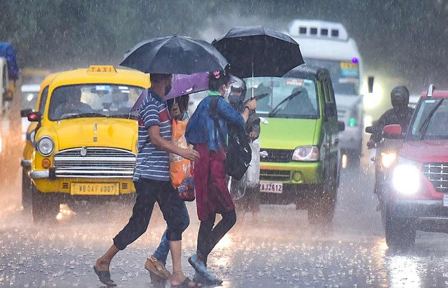 Heavy storm and rain in Kolkata; tree collapses in front of Bidhan Market.